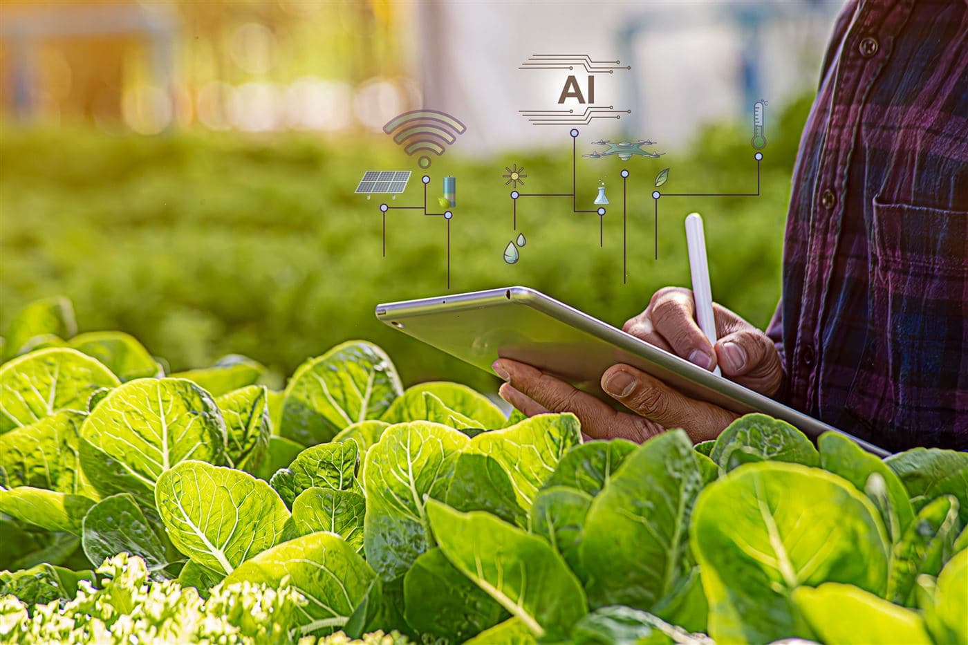Agriculture & Smart Farming infrastructure